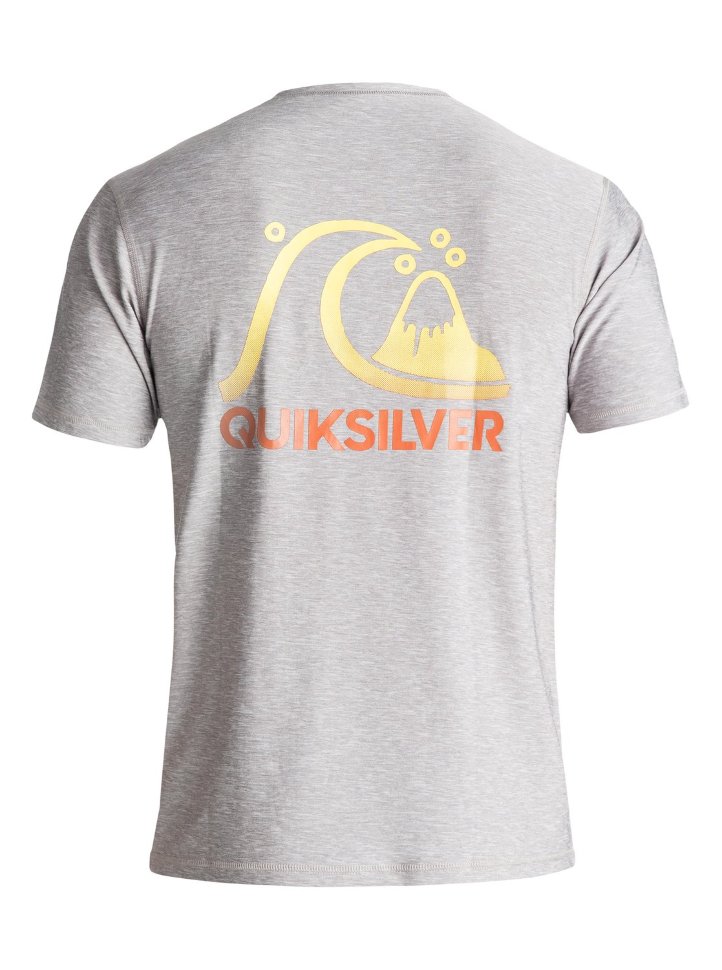 Гидрофутболка мужская QUIKSILVER Hertagsurfteess M Silver Sconce фото 2