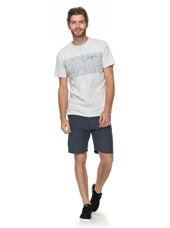 Футболка мужская QUIKSILVER Cactusfalls M Snow White Heather фото 2