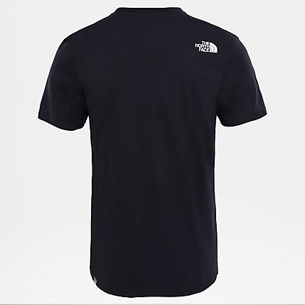 Футболка мужская THE NORTH FACE M Ss Simple Dome Tee фото 4