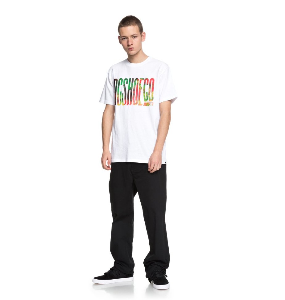 Футболка мужская DC SHOES Trippy Typed Ss M Snow White фото 2