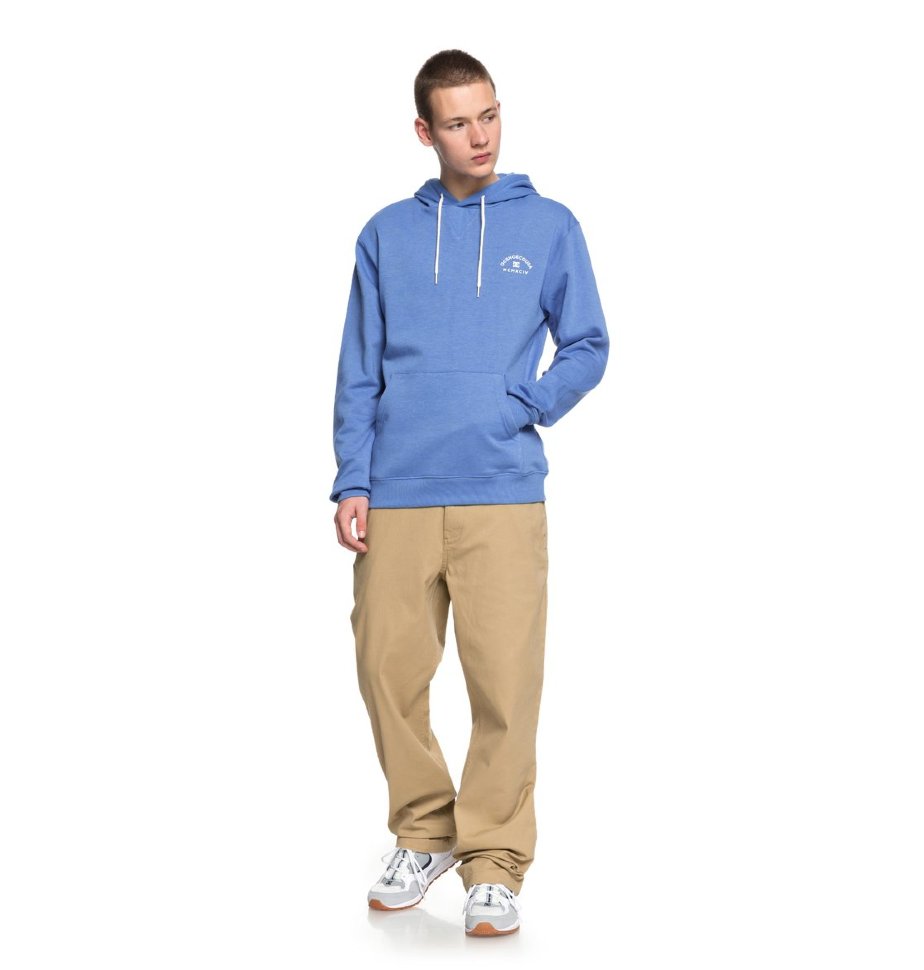 Джемпер мужской DC SHOES Rebel Ph 3 M Campunula фото 2