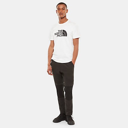 Футболка мужская THE NORTH FACE M S/S Easy Tee фото 2