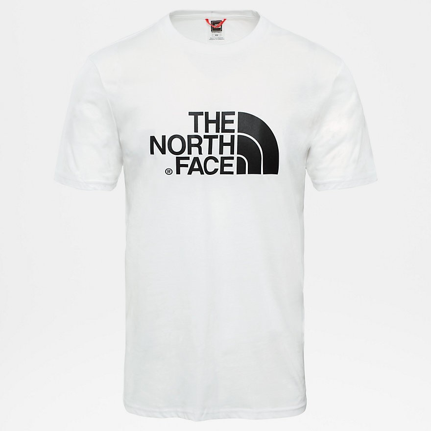 Футболка мужская THE NORTH FACE M S/S Easy Tee фото 3