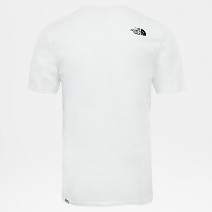 Футболка мужская THE NORTH FACE M S/S Easy Tee фото 4