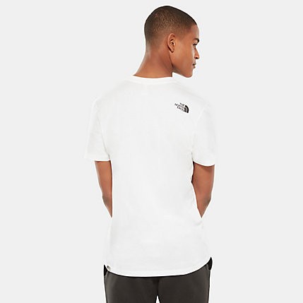 Футболка мужская THE NORTH FACE M S/S Easy Tee фото 5