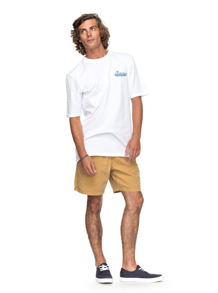 Футболка мужская QUIKSILVER Gmtdyehoodloves M White фото 2