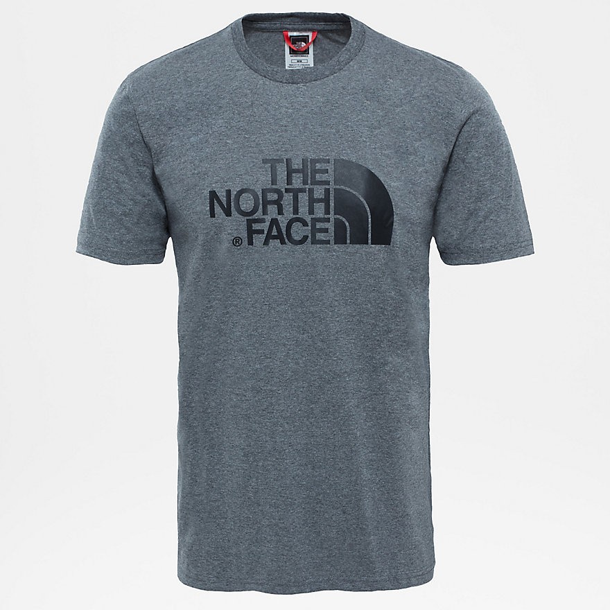 Футболка мужская THE NORTH FACE M S/S Easy Tee фото 3