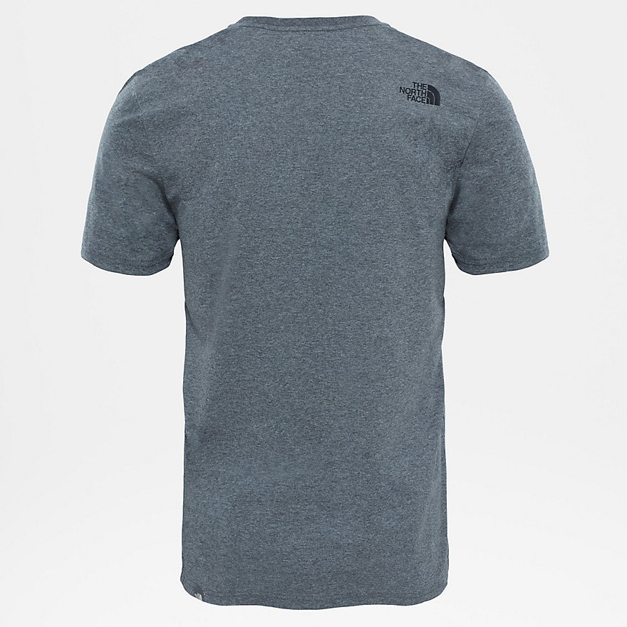 Футболка мужская THE NORTH FACE M S/S Easy Tee фото 4