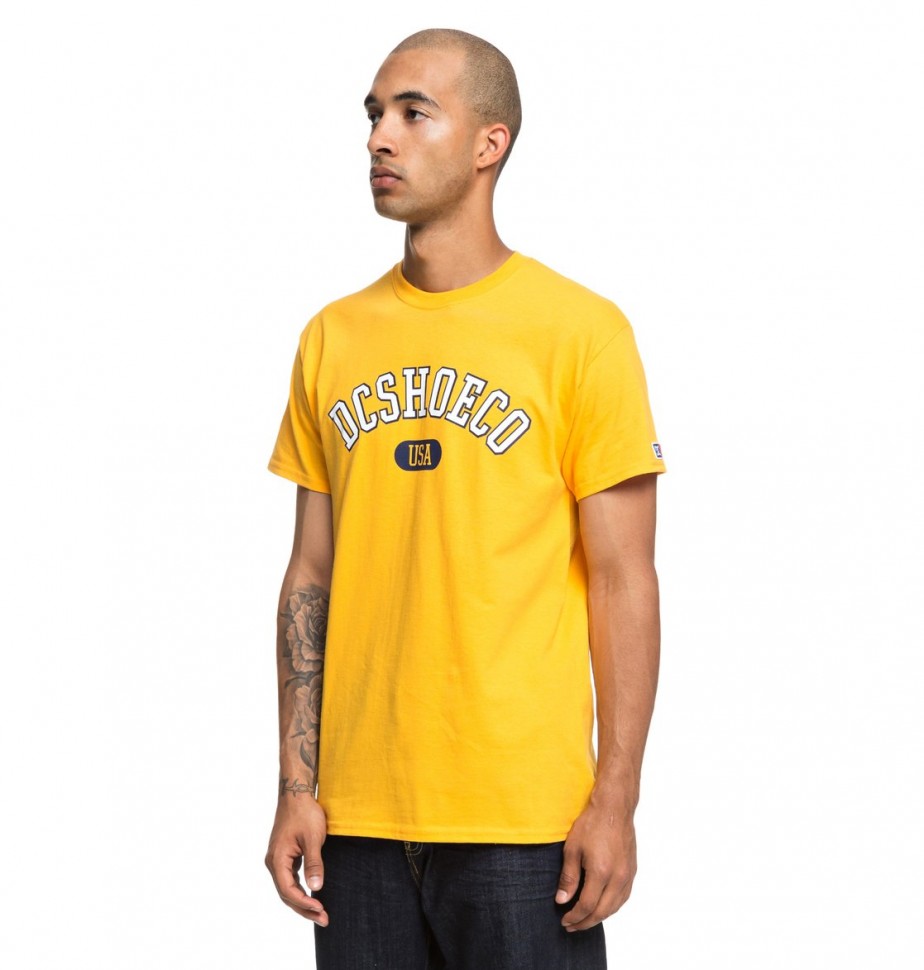 Футболка DC SHOES Arch Ss Tee M Golden Rod фото 2