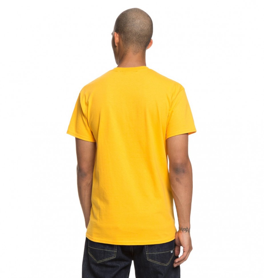 Футболка DC SHOES Arch Ss Tee M Golden Rod фото 5