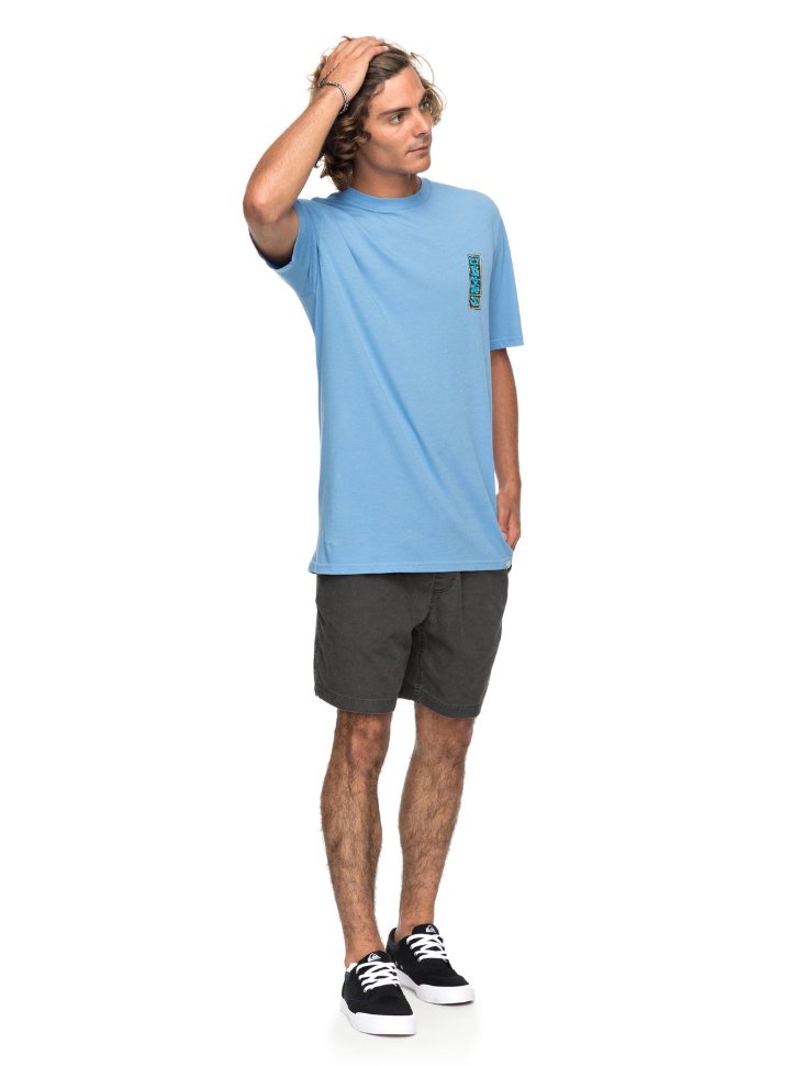 Футболка мужская QUIKSILVER Gmtdyeframersup M Silver Lake Blue фото 2