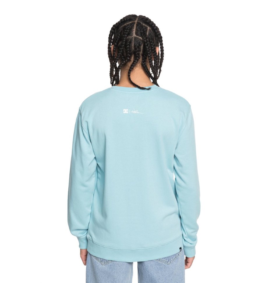 Джемпер мужской DC SHOES Viajero Crew M Marine Blue фото 3