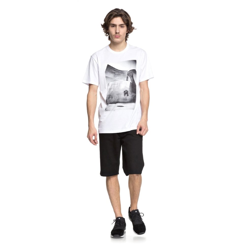 Футболка мужская DC SHOES Tiago Switch Fl M Snow White фото 2