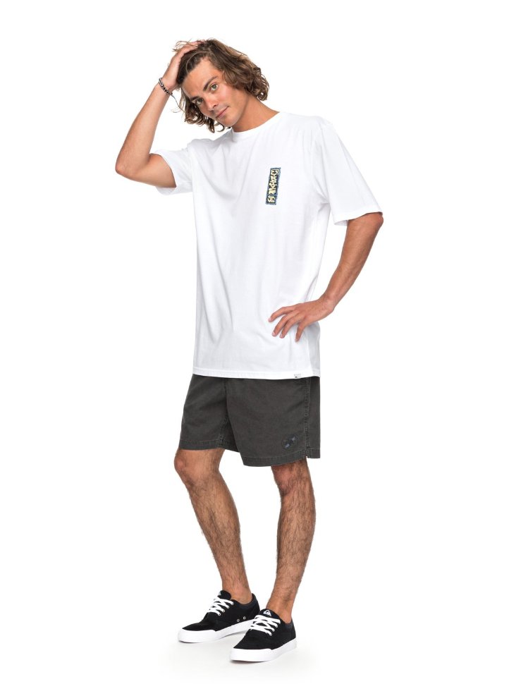 Футболка мужская QUIKSILVER Gmtdyeframersup M White фото 2