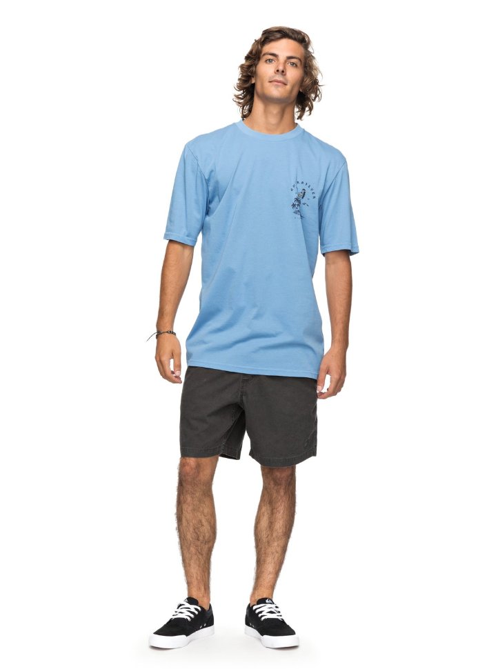 Футболка мужская QUIKSILVER Gmtdyecurvelove M Silver Lake Blue фото 2