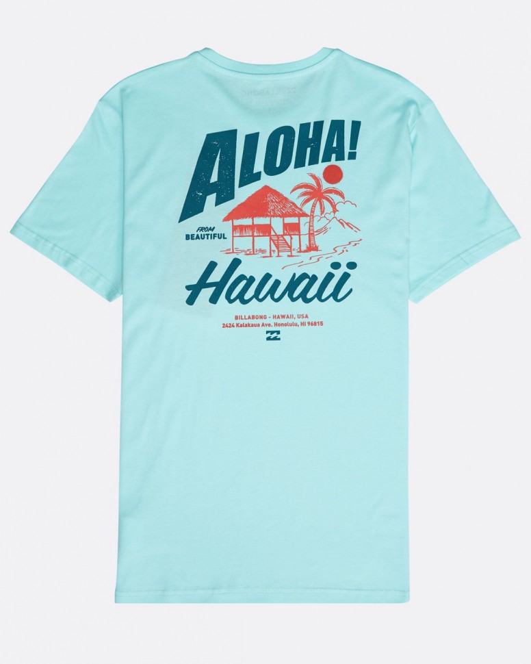 Футболка мужская BILLABONG Alhoa Tee Ss Spearmint фото 2