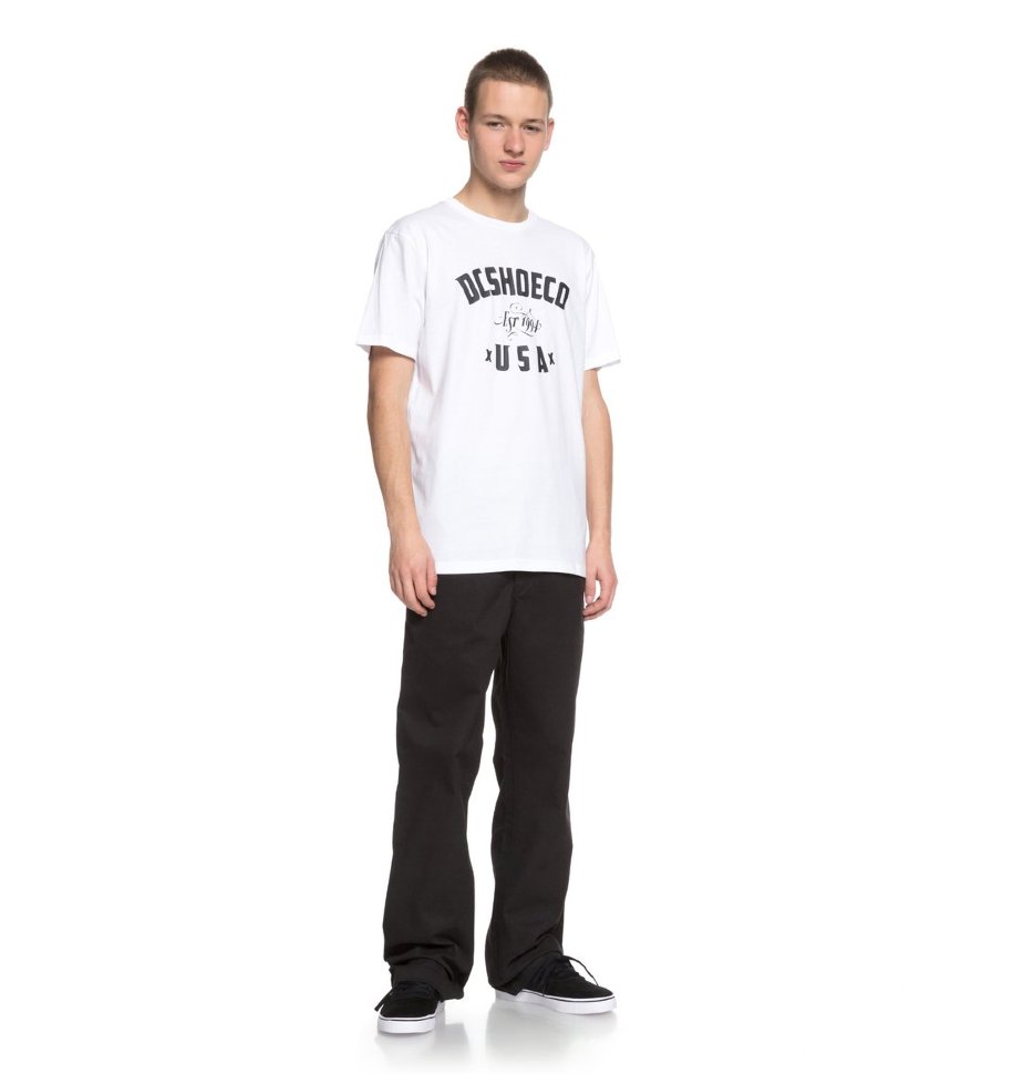 Футболка мужская DC SHOES Dc Fusty Ss M Snow White фото 2