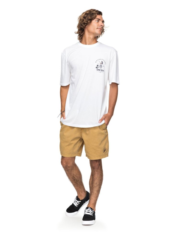 Футболка мужская QUIKSILVER Gmtdyecurvelove M White фото 2