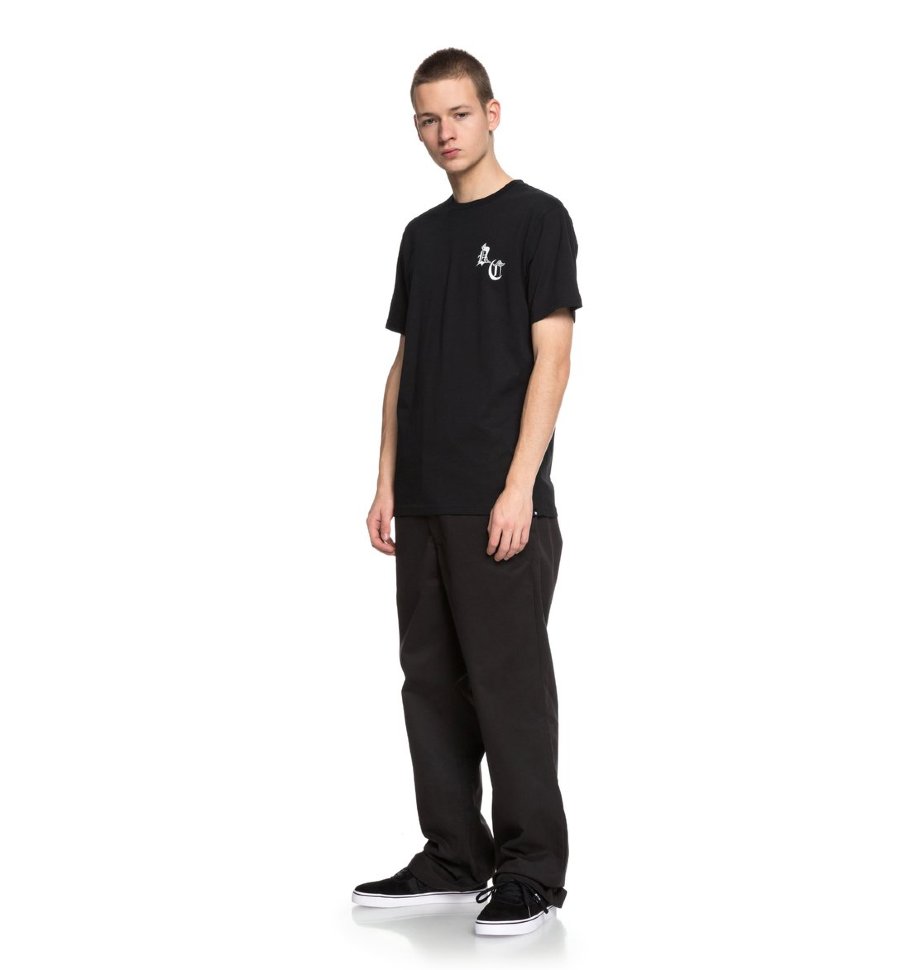 Футболка мужская DC SHOES Dc Sugihara Sna M Black фото 2