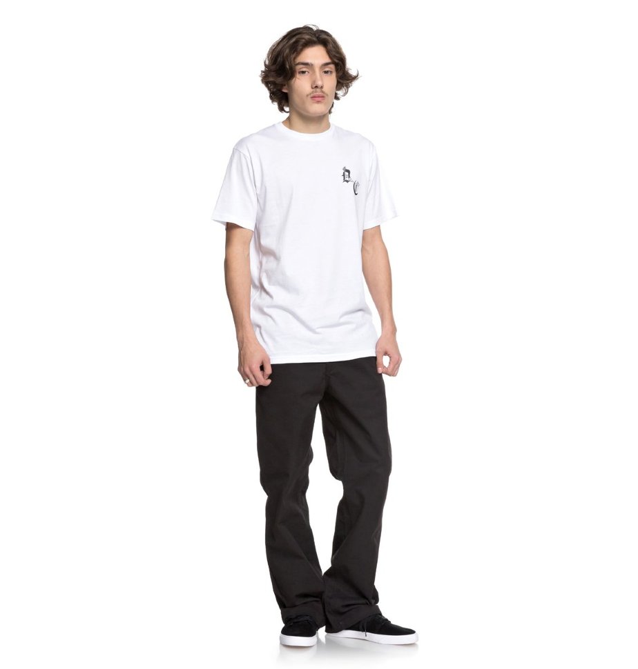 Футболка мужская DC SHOES Dc Sugihara Sna M Snow White фото 2