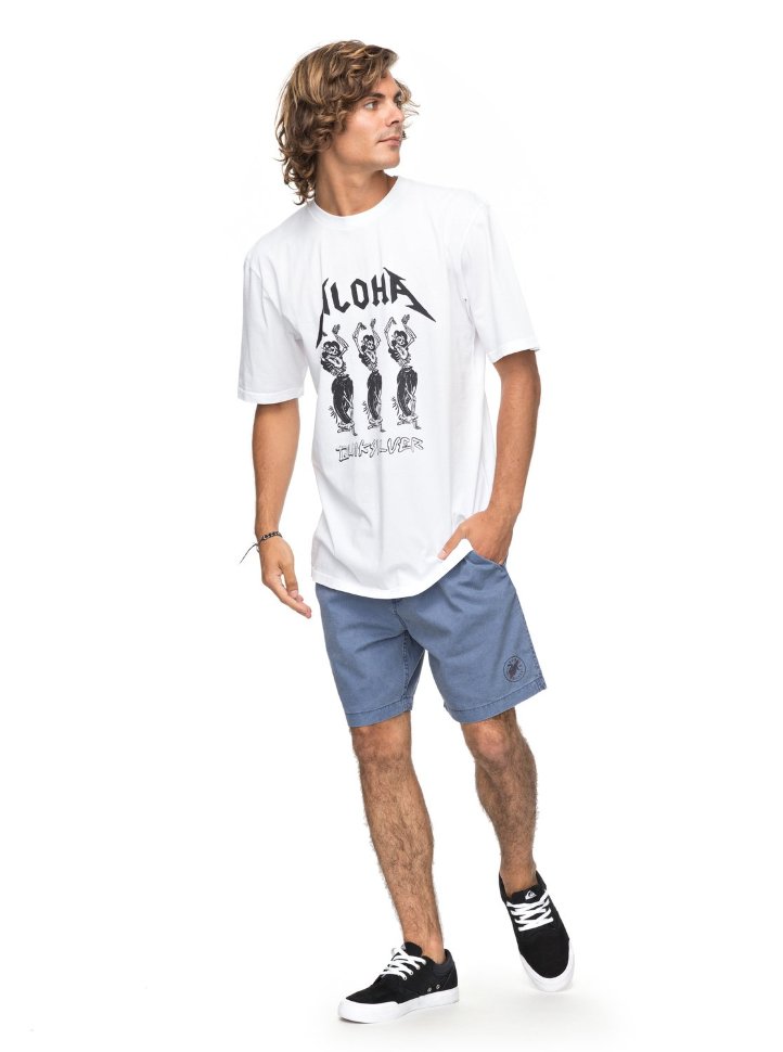 Футболка мужская QUIKSILVER Ssgmtdpeachbuzz M White фото 2