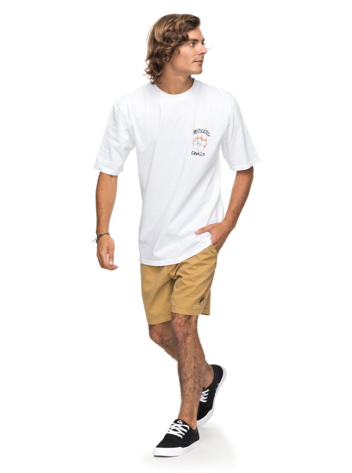 Футболка мужская QUIKSILVER Pcvolcanoss M White фото 2
