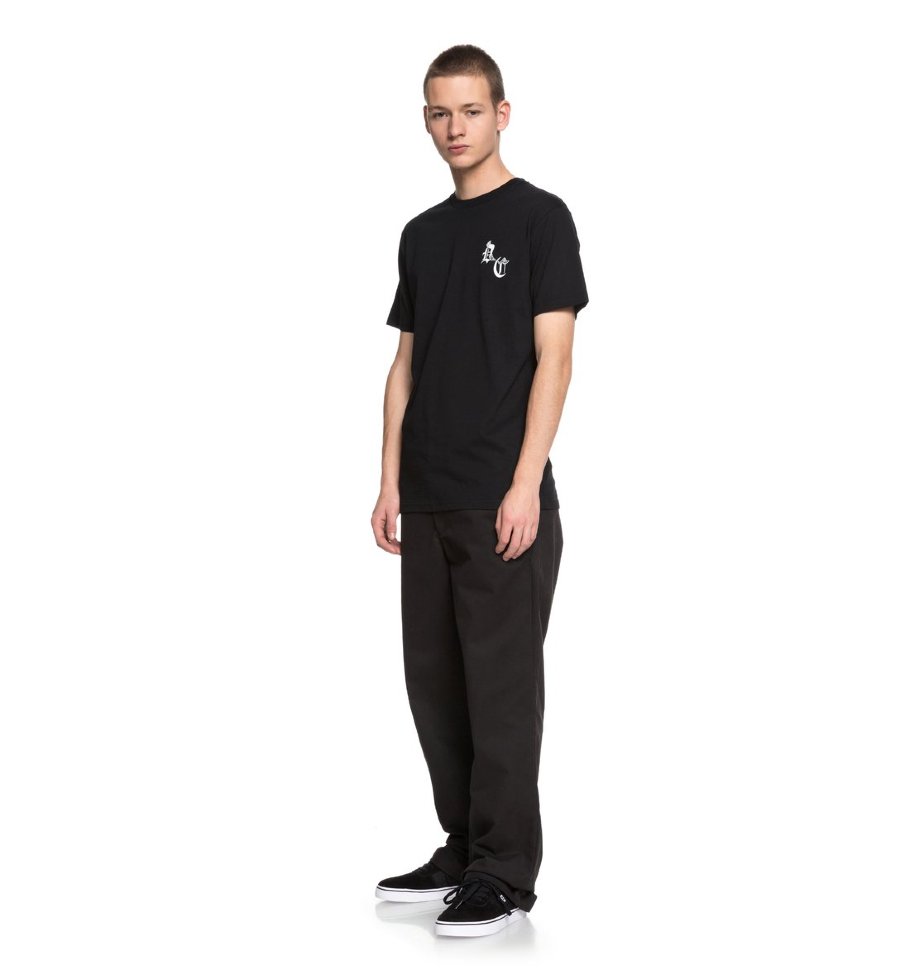 Футболка мужская DC SHOES Dc Sugihara Bat M Black фото 2