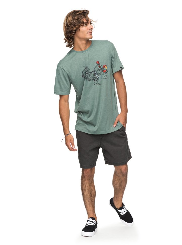 Футболка мужская QUIKSILVER Htrroostervibe M Trellis Heather фото 2