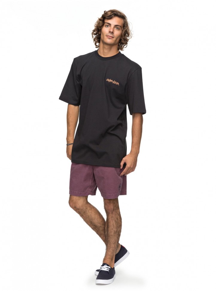 Футболка мужская QUIKSILVER Pclogoss M Black фото 2