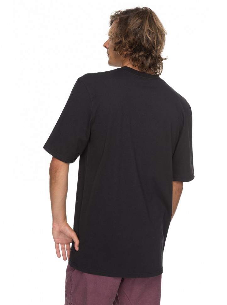 Футболка мужская QUIKSILVER Pclogoss M Black фото 3