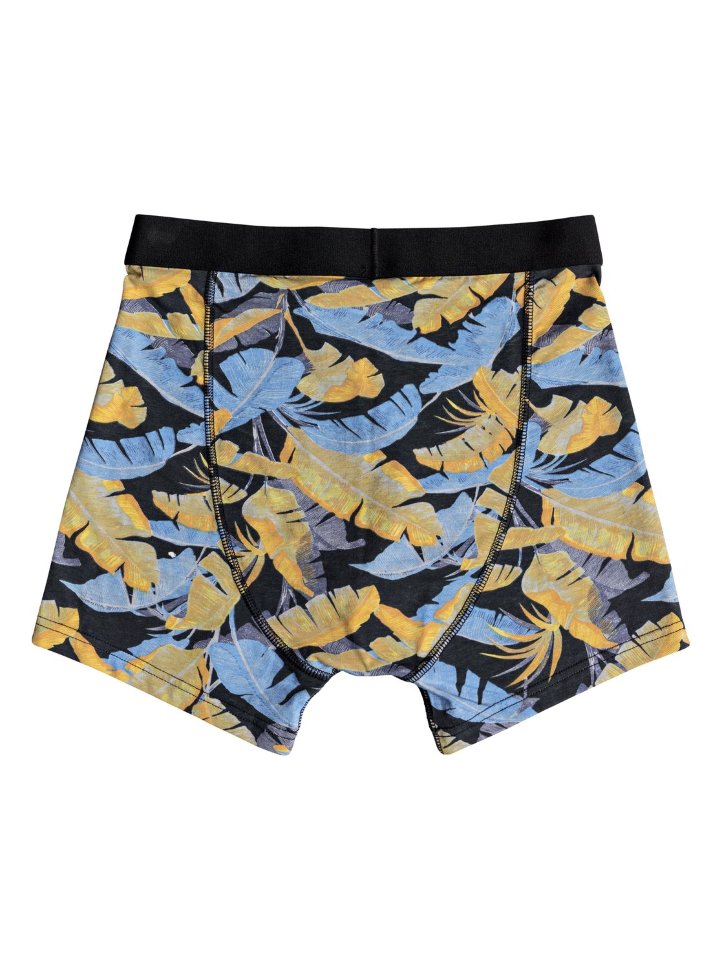 Трусы мужские QUIKSILVER Boxer Poster M Tarmac фото 2