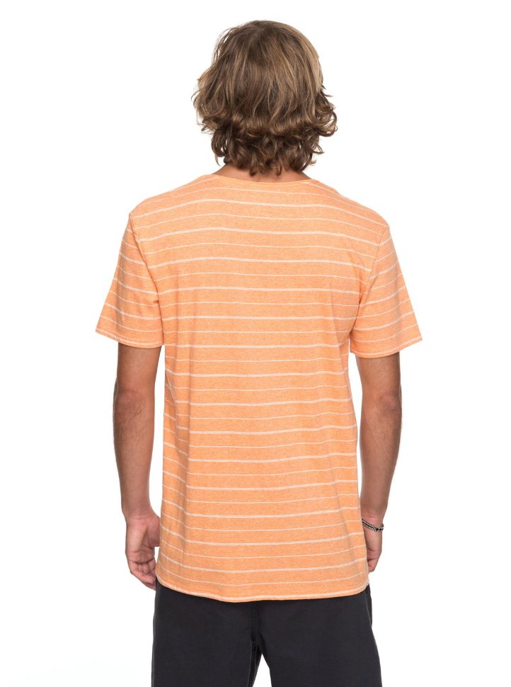 Футболка мужская QUIKSILVER Zermetss M Cadmium Grindle Stripes фото 3