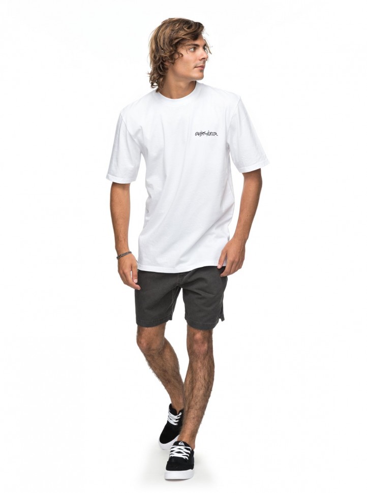 Футболка мужская QUIKSILVER Pclogoss M White фото 2