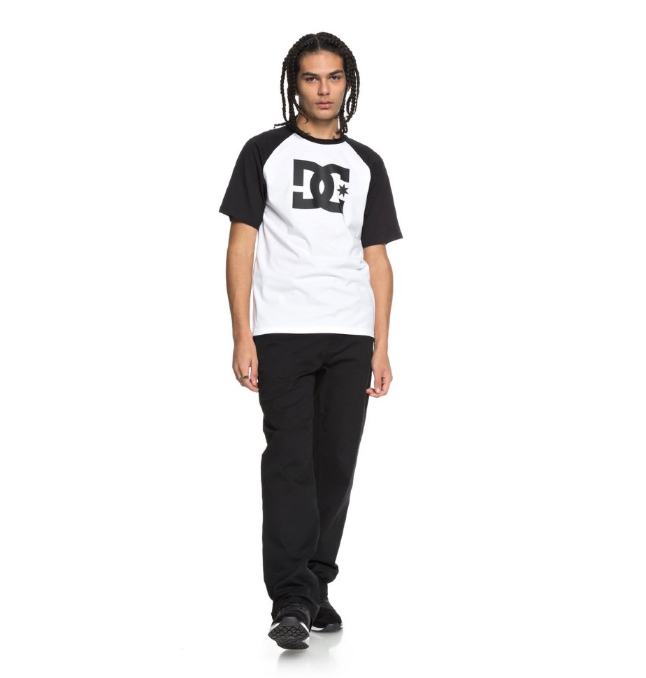 Футболка мужская DC SHOES Star Raglan Ss M Snow White фото 2