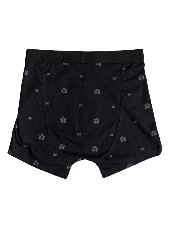 Трусы мужские QUIKSILVER Boxer Poster M Quiet Shade фото 2
