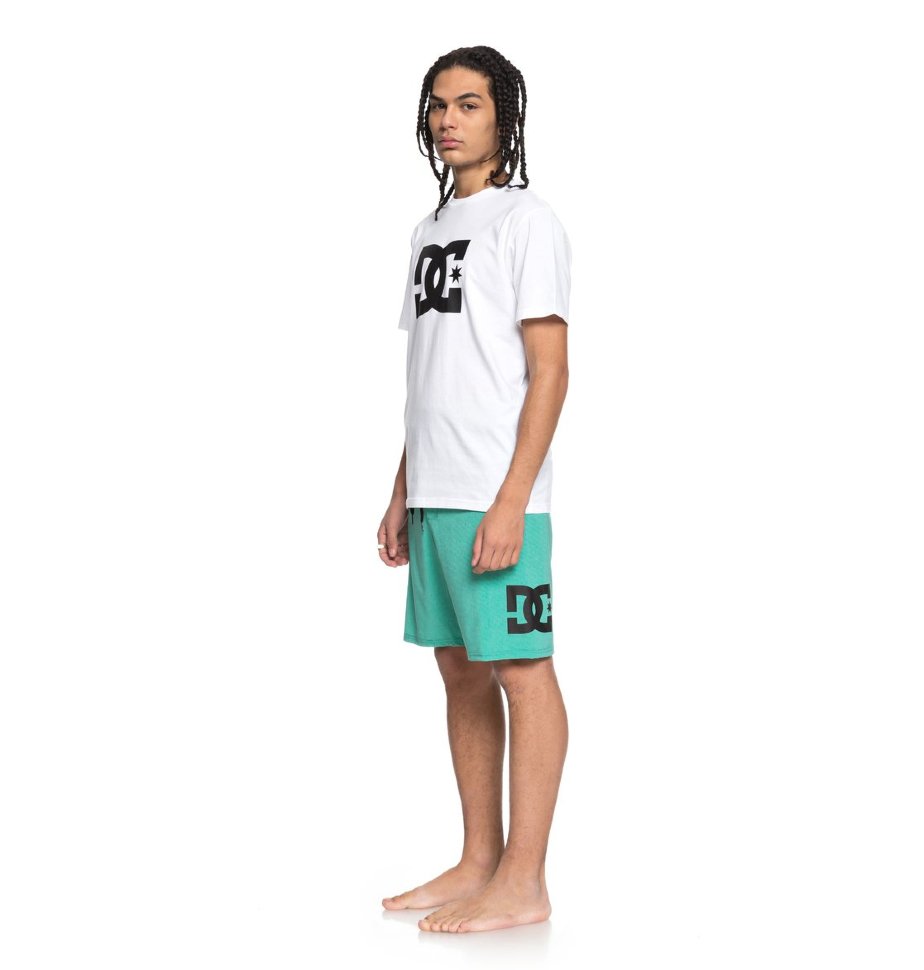 Футболка мужская DC SHOES Star Ss M Snow White фото 2