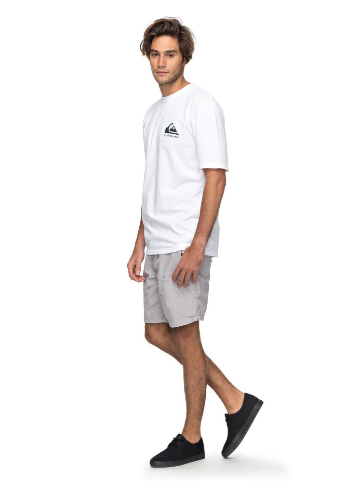 Футболка мужская QUIKSILVER Omnioriginalss M White фото 2