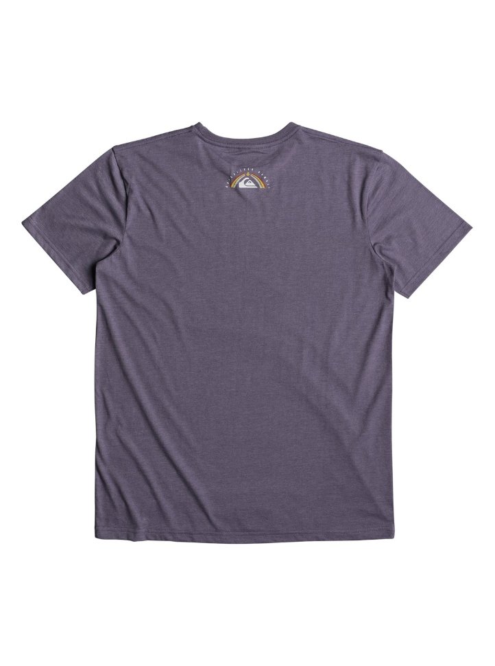 Футболка мужская QUIKSILVER Htrkingst M Cadet Heather фото 2