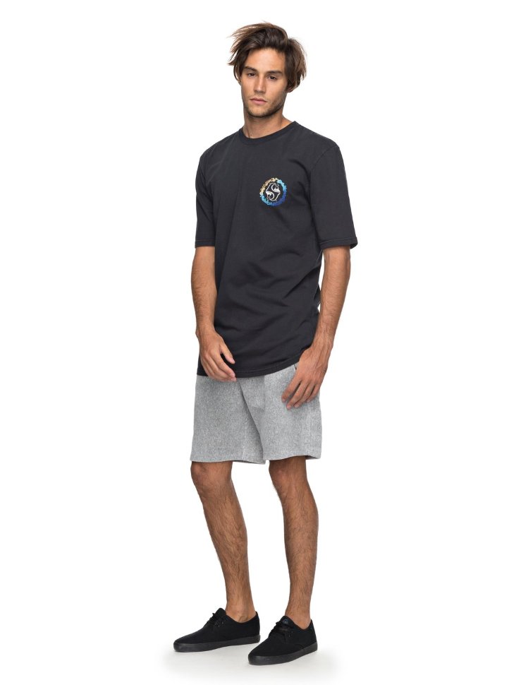 Футболка мужская QUIKSILVER Leialldayss M Black фото 2