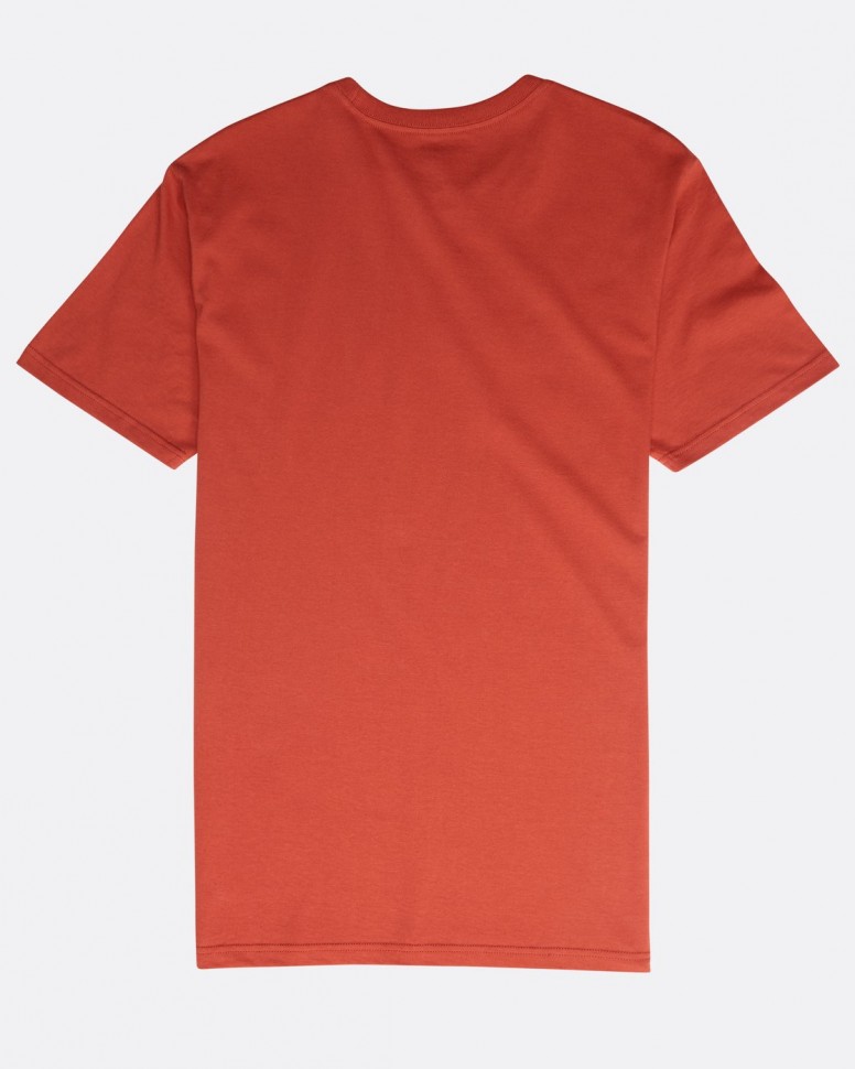 Футболка мужская BILLABONG Inversed Tee Ss Rustic Red фото 4