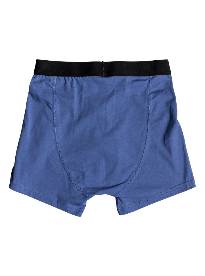 Трусы мужские QUIKSILVER Boxer Edition M Bright Cobalt фото 2