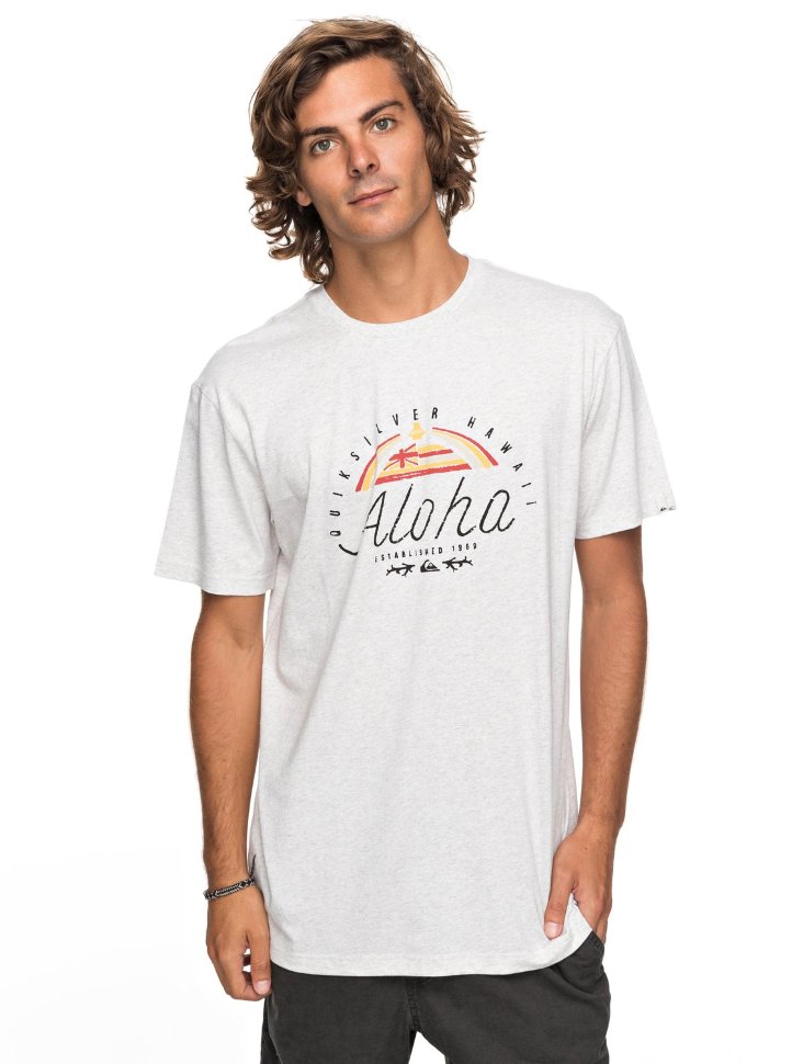 Футболка мужская QUIKSILVER Htrkingst M Snow White Heather