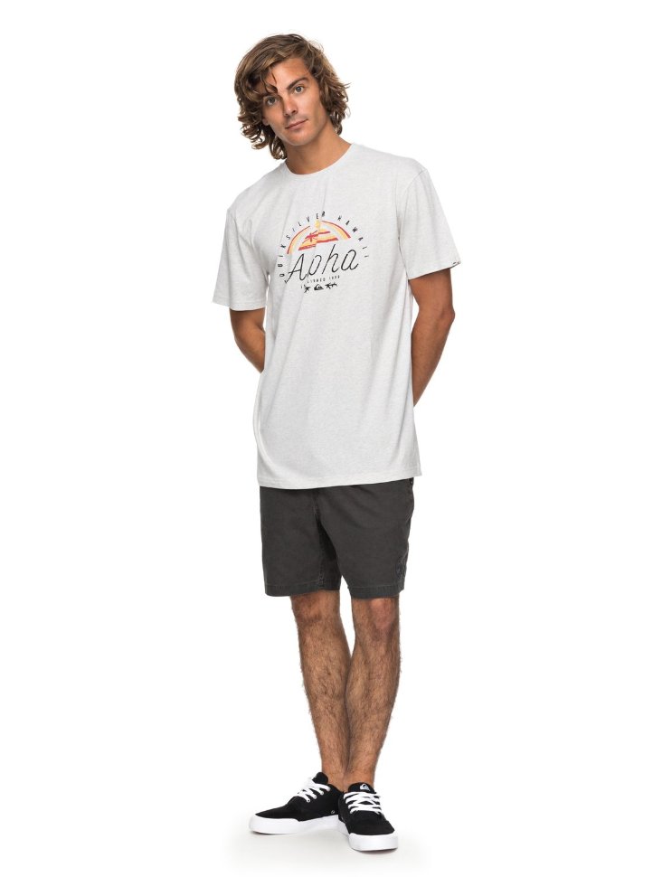 Футболка мужская QUIKSILVER Htrkingst M Snow White Heather фото 2