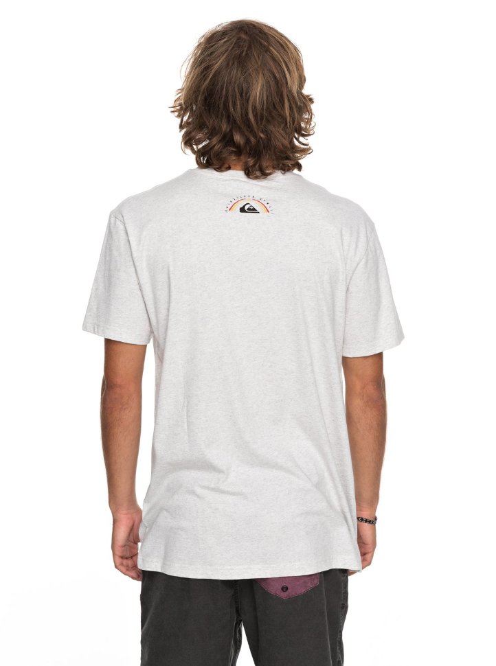 Футболка мужская QUIKSILVER Htrkingst M Snow White Heather фото 3