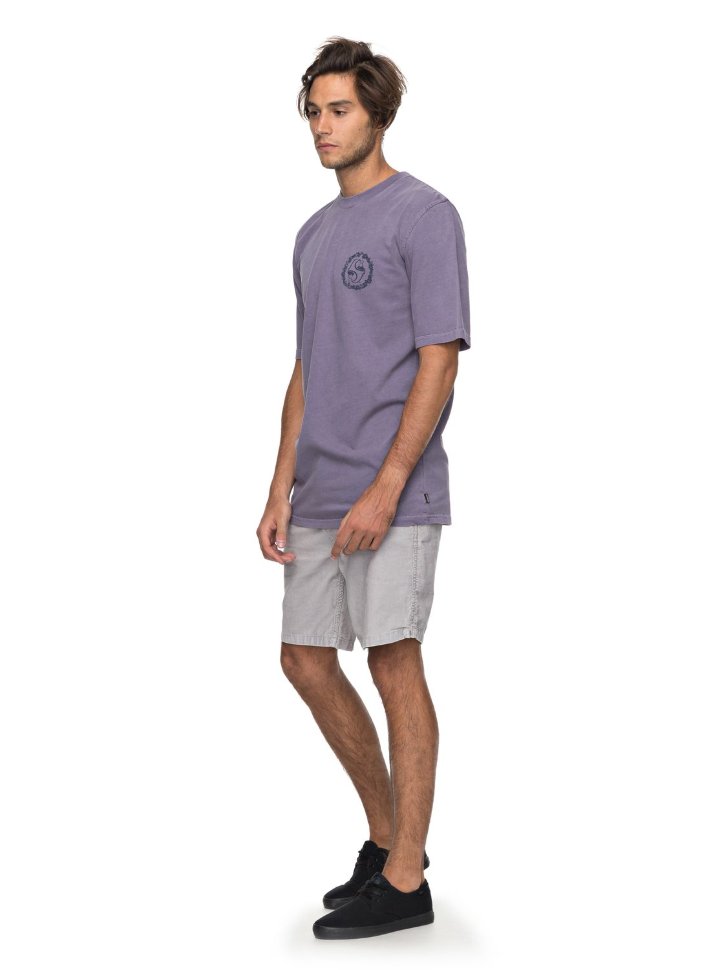 Футболка мужская QUIKSILVER Leialldayss M Cadet фото 2