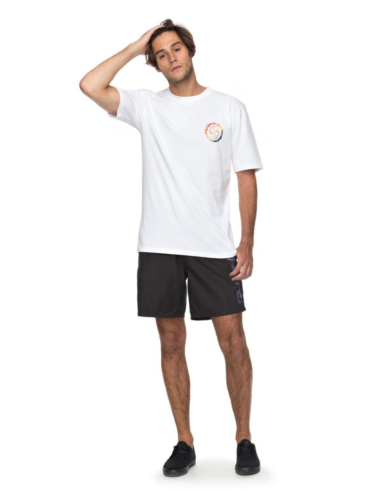Футболка мужская QUIKSILVER Leialldayss M White фото 2
