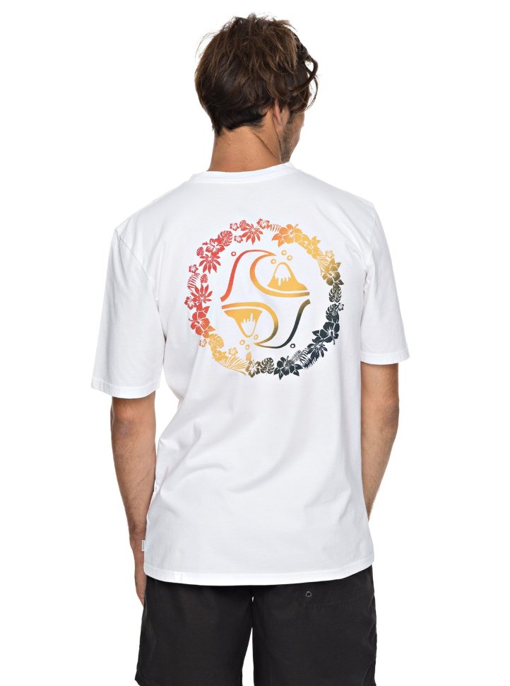 Футболка мужская QUIKSILVER Leialldayss M White фото 3