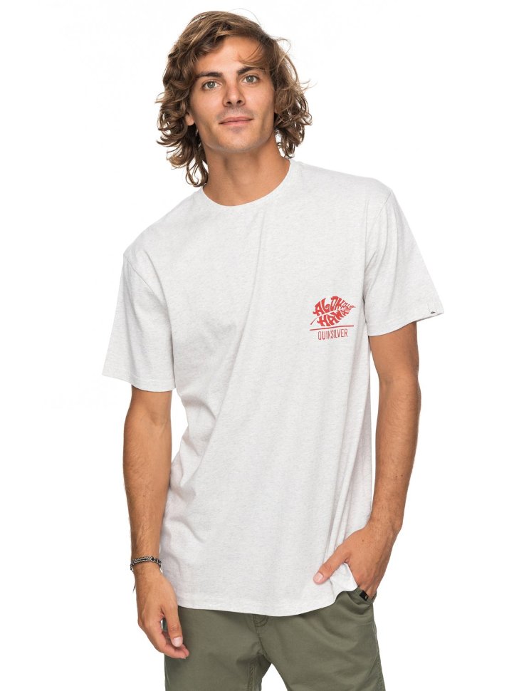Футболка мужская QUIKSILVER Htrorigintaro M Snow White Heather