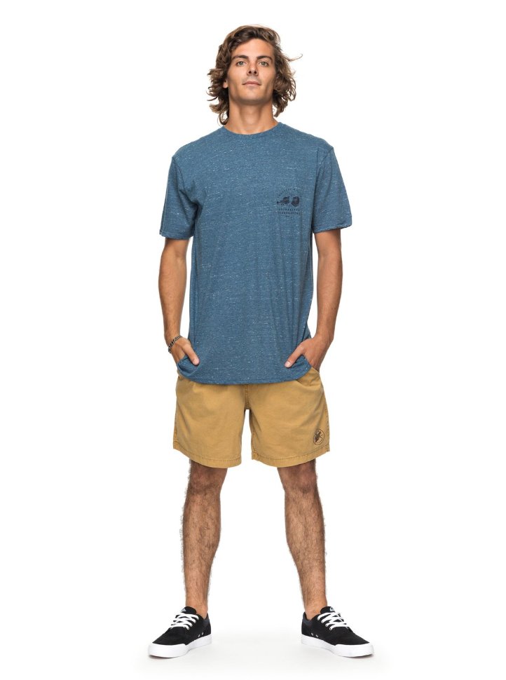 Футболка мужская QUIKSILVER Orglonglosta M Real Teal Heather фото 2