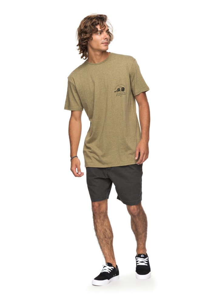 Футболка мужская QUIKSILVER Orglonglosta M Covert Green Heather фото 2
